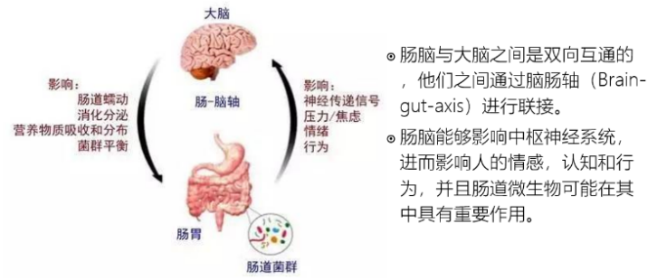 大发500官网(中国)官方登录入口