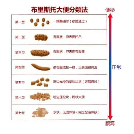 大发500官网(中国)官方登录入口